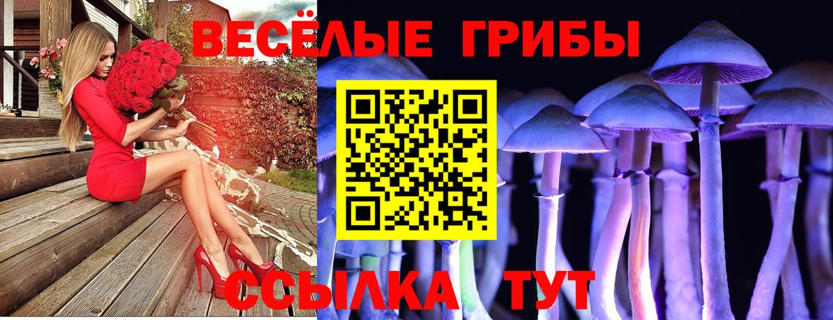 Галлюциногенные грибы мухоморы Ноябрьск