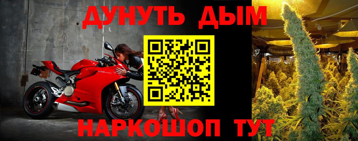 Бошки Шишки марихуана  Вход с VPN  Ноябрьск  Шишки марихуана план  МАРИХУАНА OG Kush 